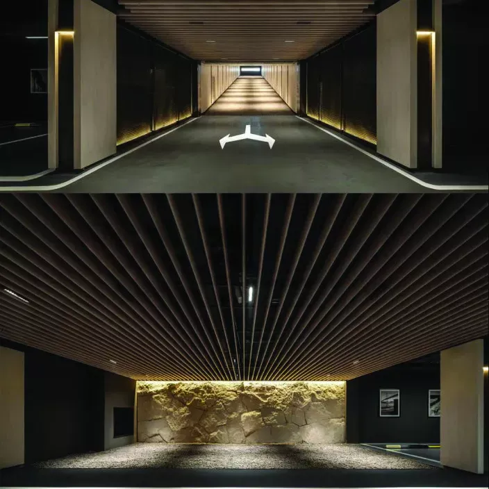 Basement Parking